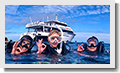 Pro Dive Cairns